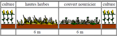 Luc Hayois biodiversité 1