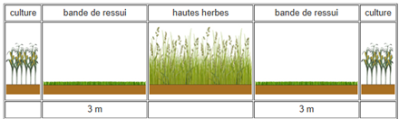 Luc Hayois biodiversité 2