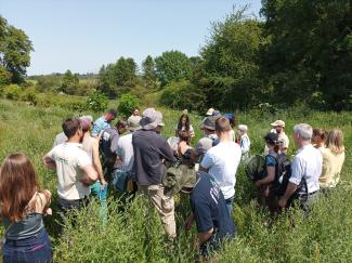 photo lutte biologique coin de champ