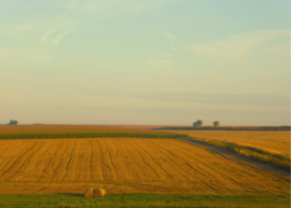 image d'un paysage agricole