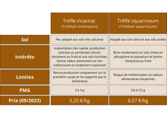 Tableau comparatif entre le trèfle incarnat et squarrosum.