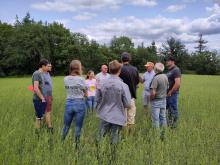 GAA Farm for good