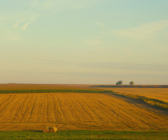 image d'un paysage agricole